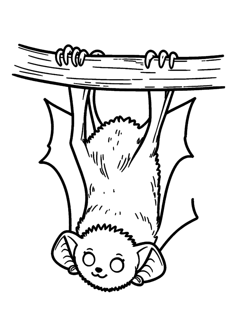 Coloriage Chauve-souris vampire endormie à imprimer gratuitement