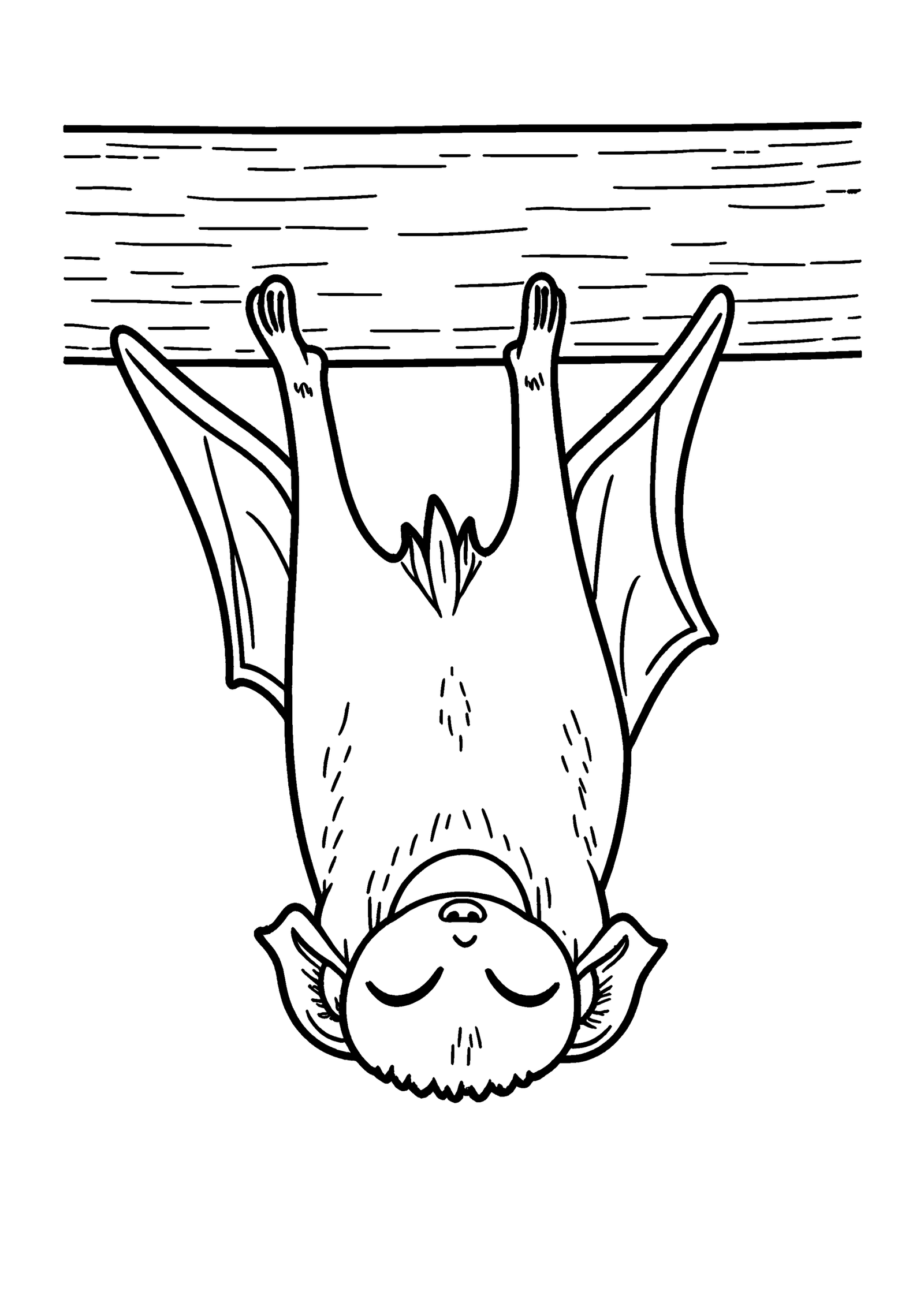 Coloriage Chauve-souris vampire endormie, variante 3