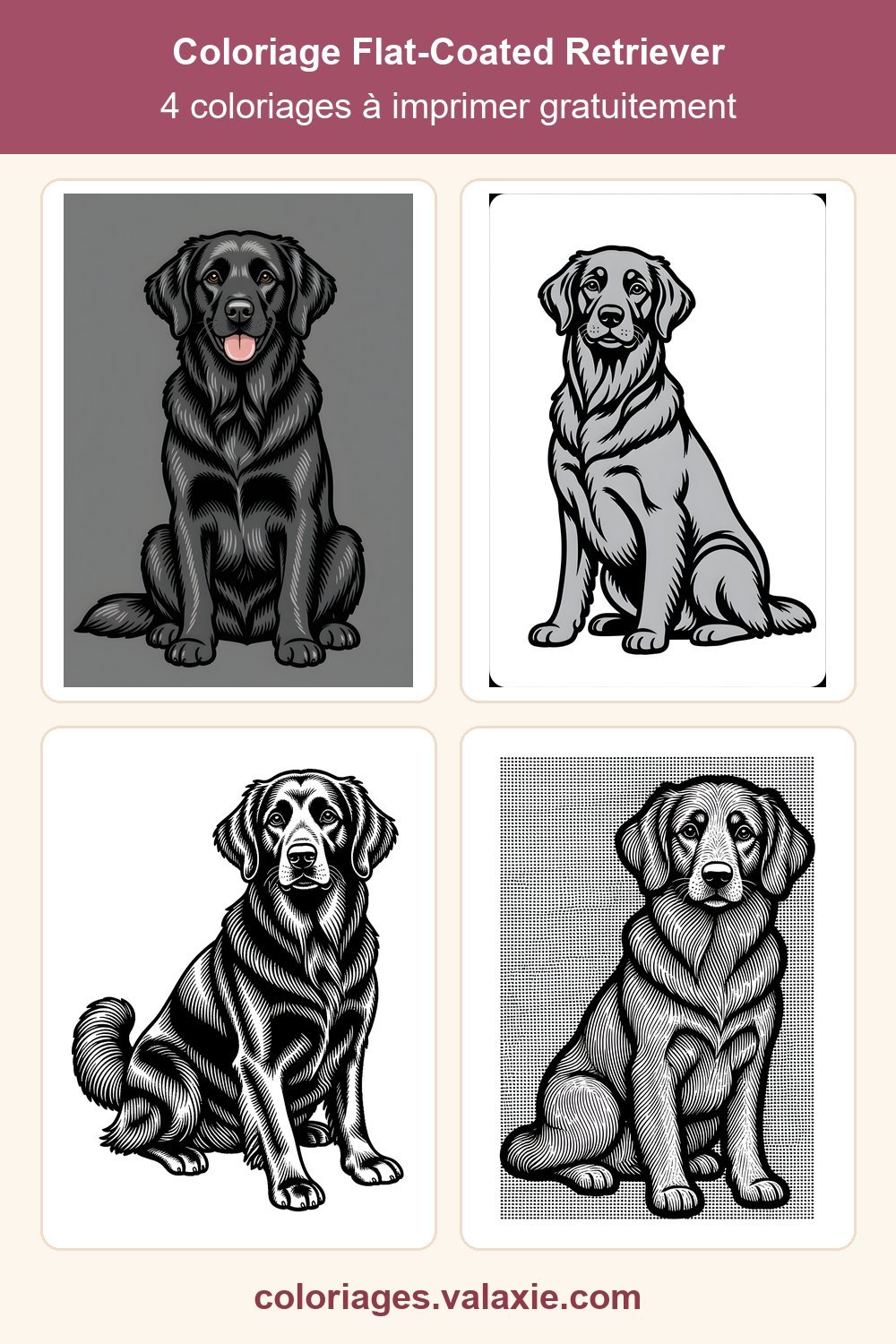 Epingle Pinterest de ce coloriage