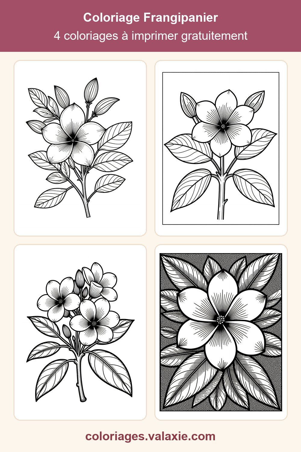 Epingle Pinterest de ce coloriage